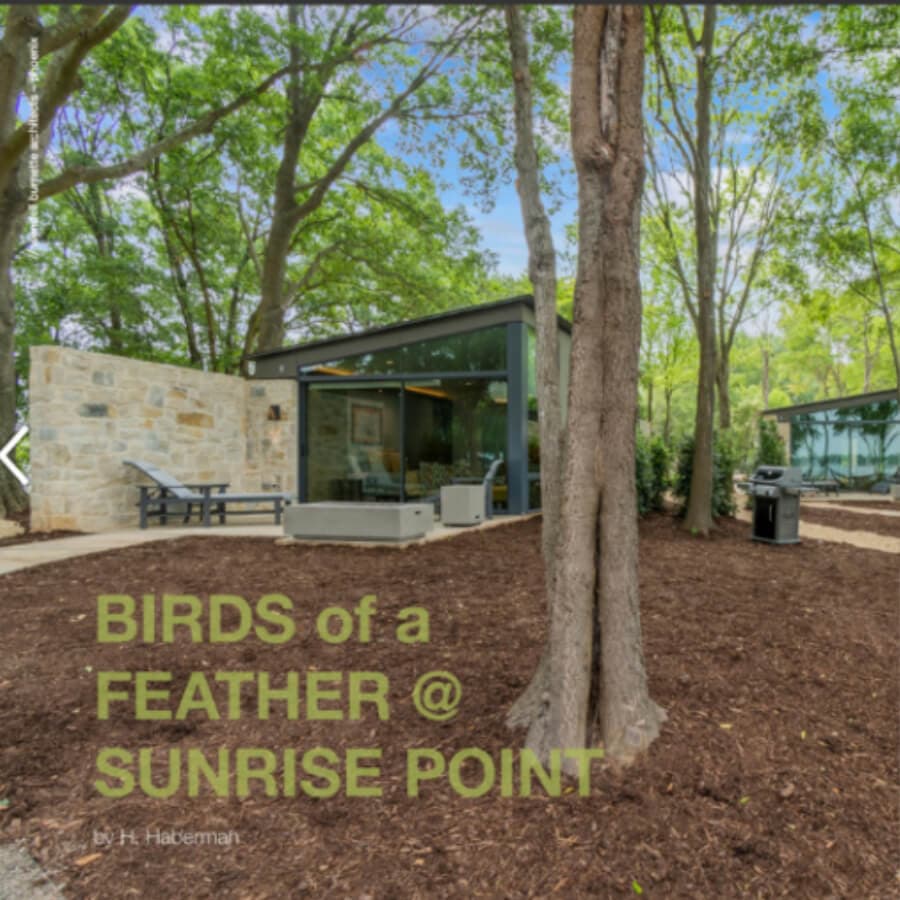 A modern building surrounded by trees and mulch, featuring the text "BIRDS of a FEATHER @ SUNRISE POINT."